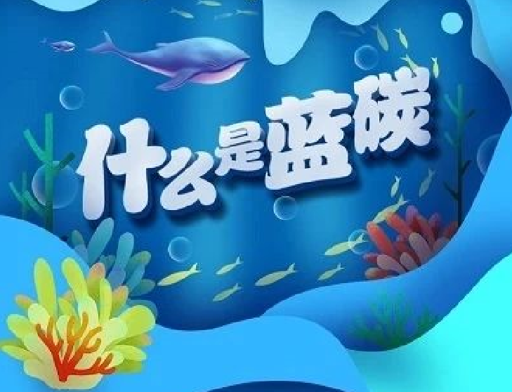 圖解｜你知道“藍碳”是什么嗎？